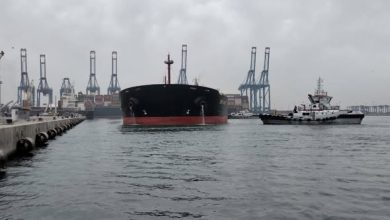ميناء دمياط يستقبل أكبر حمولة بضائع عامة في تاريخه