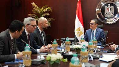 وزير الاستثمار يلتقي سفير النرويج بالقاهرة والرئيس التنفيذي لشركة «سكاتك» النرويجية