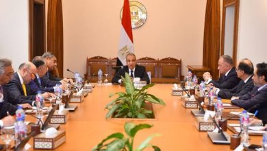 وزير الخارجية يؤكد على الدور المحورى للقطاع الخاص في تعزيز الشراكات الاقتصادية مع أفريقيا