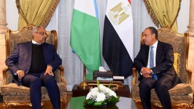 وزير الخارجية يبحث مع نظيره الجيبوتي سبل تعزيز العلاقات الثنائية وتطورات الأوضاع في منطقة القرن الأفريقي