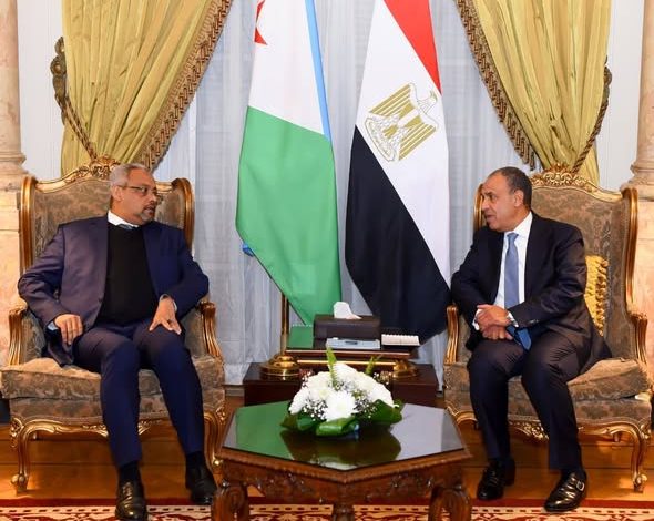 وزير الخارجية يبحث مع نظيره الجيبوتي سبل تعزيز العلاقات الثنائية وتطورات الأوضاع في منطقة القرن الأفريقي