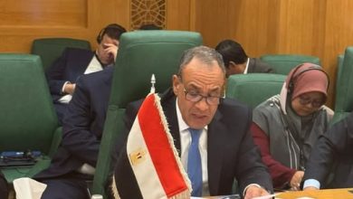 وزير الخارجية يلقي كلمة مصر أمام الدورة الاستثنائية لمجلس وزراء خارجية منظمة التعاون الإسلامي