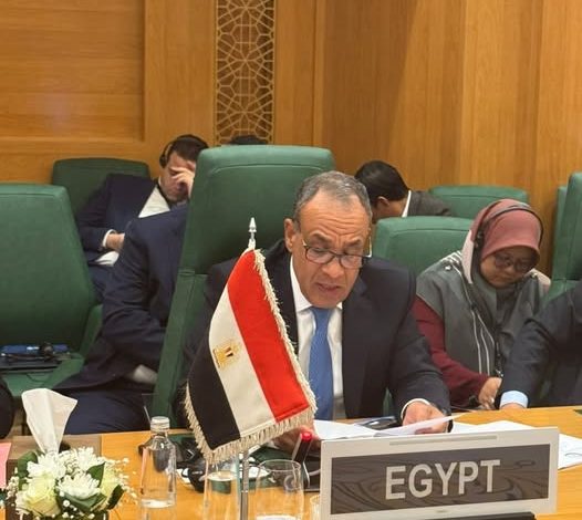 وزير الخارجية يلقي كلمة مصر أمام الدورة الاستثنائية لمجلس وزراء خارجية منظمة التعاون الإسلامي