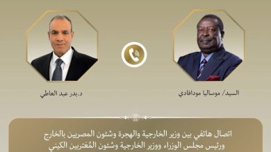 اتصال هاتفي بين وزير الخارجية ونظيره الكيني