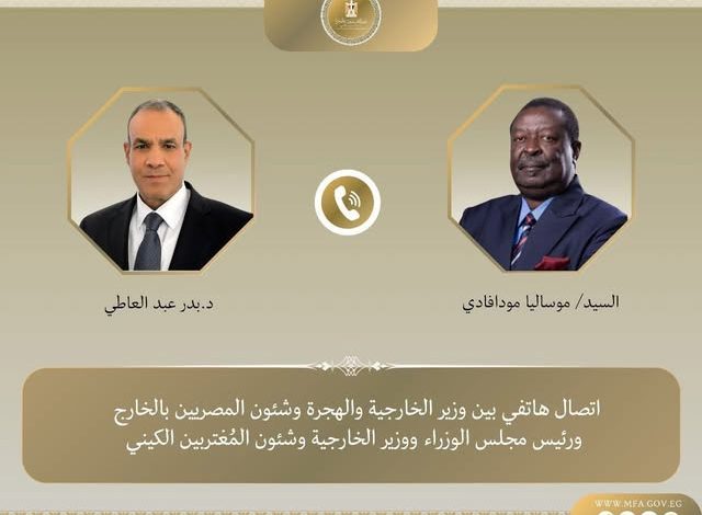 اتصال هاتفي بين وزير الخارجية ونظيره الكيني