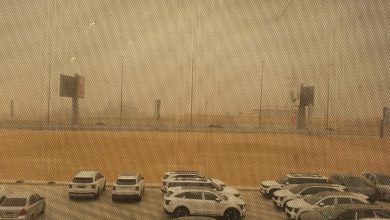 «الصحة» توجه إرشادات وقائية للمواطنين لمواجهة التقلبات الجوية والعواصف الترابية
