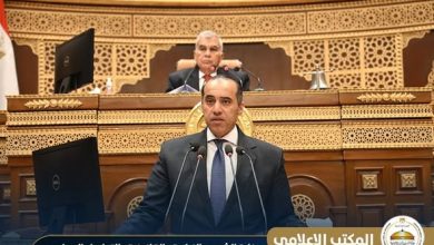 السيد الرئيس أول من أثار هذه القضية ووجه بمعالجتها.. إيضاحات المستشار محمود فوزي بشأن سياسة الحكومة لحماية الأطفال من مخاطر الإنترنت أمام مجلس الشيوخ