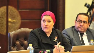 رئيسة القومي للطفولة والأمومة تشارك في مائدة مستديرة نظمها حزب حماة الوطن