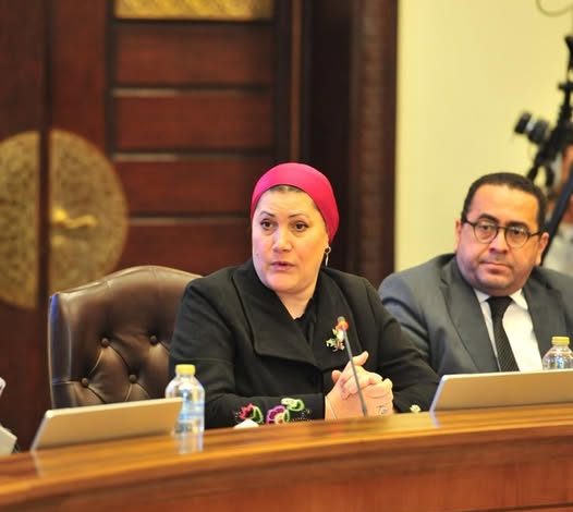 رئيسة القومي للطفولة والأمومة تشارك في مائدة مستديرة نظمها حزب حماة الوطن