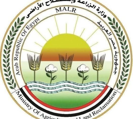 بيان الزراعة عن المساحات الفعلية المنزرعة بالقطن ومؤشرات المحصول للموسم الجديد