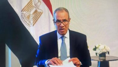 وزير الخارجية يطمئن على أوضاع الجاليات المصرية في دول الخليج العربي والأردن الشقيقة