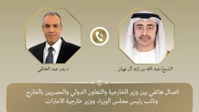 عبد العاطي يبحث مستجدات التطورات الإقليمية مع نظيره الإماراتي