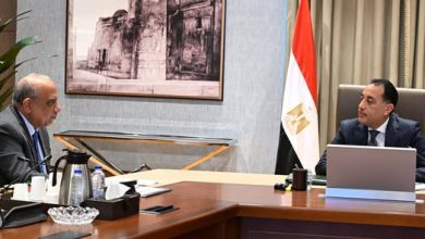 مدبولي يلتقي وزير الكهرباء والطاقة المتجددة لاستعراض عددٍ من ملفات العمل