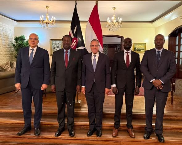 وزير الخارجية يجتمع مع عدد من الوزراء الكينيين لتعزيز الشراكة الاقتصادية والتعاون في مجال إدارة الموارد المائية
