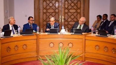 وزير الخارجية يلتقي سفراء مصريين سابقين متخصصين في الشأن الإفريقي