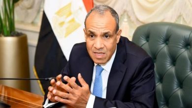 وزير الخارجية ينقل تحيات وتقدير السيد رئيس الجمهورية إلى القادة الأفارقة والمسئولين الدوليين