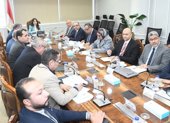 وزيرة الإسكان تتابع موقف تنفيذ المشروعات ضمن مبادرة حياة كريمة بعددٍ من المحافظات
