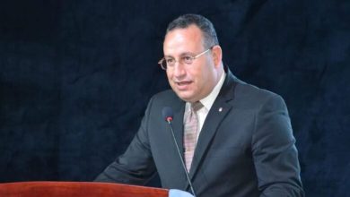 د.عبدالعزيز قنصوة، وزير التعليم العالي والبحث العلمي