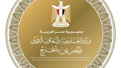 اتصالات هاتفية مكثفة لوزير الخارجية مع نظرائه في السعودية والبحرين وقطر وباكستان وإيران وتركيا