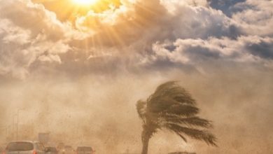 الأرصاد تكشف تفاصيل طقس الأربعاء والخميس وتحذر من الشائعات