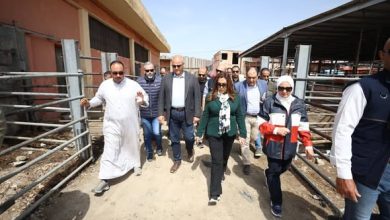 د. منال عوض ومحافظ الإسكندرية يزوران المجزر الآلي بالعامرية للوقوف على جميع المشكلات والتحديات بالمجزر