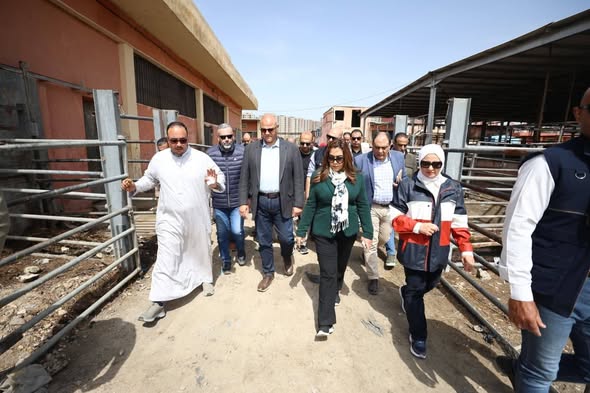 د. منال عوض ومحافظ الإسكندرية يزوران المجزر الآلي بالعامرية للوقوف على جميع المشكلات والتحديات بالمجزر