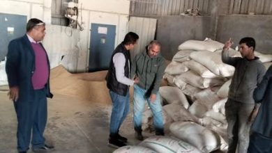 بتكليفات من "فاروق".. "الزراعة" تواصل حملات التفتيش المفاجئة على مصانع ومخازن الأعلاف في 6 محافظات