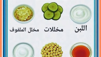 الكائنات النافعة (البروبيوتيك): آفاق واعدة في الصحة والتطبيقات الحديثة