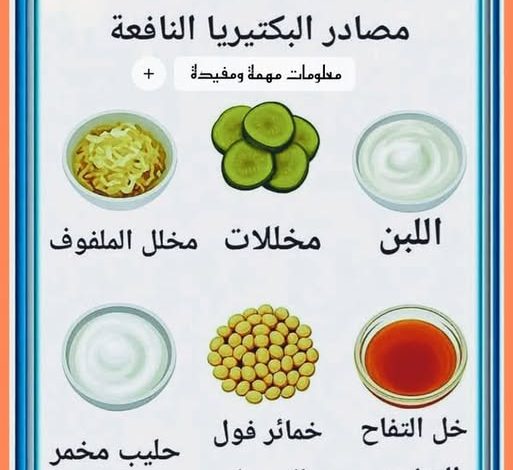 الكائنات النافعة (البروبيوتيك): آفاق واعدة في الصحة والتطبيقات الحديثة