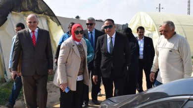 رئيس جامعة العريش يتفقد المزارع الإنتاجية والبحثية ويؤكد: الجامعة شريك أساسي في تنمية سيناء