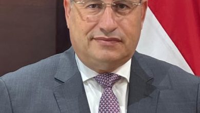 د.عبدالعزيز قنصوة