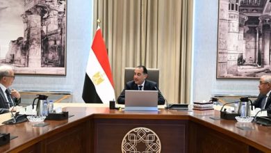 رئيس الوزراء يتابع مستجدات موقف ملف الشركات المملوكة للدولة