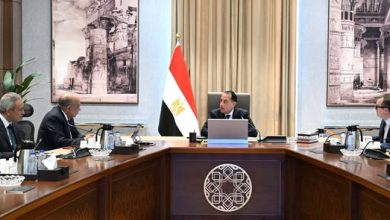 مدبولي يستعرض خطة إضافة مشروعات طاقة جديدة ومتجددة على الشبكة القومية