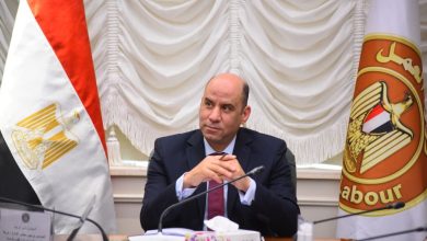 وزارة العمل حماية اجتماعية وصحية جديدة لعمالة غير منتظمة في 23 محافظة