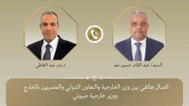 وزير الخارجية يجري اتصالاً هاتفياً مع نظيره الجيبوتي لبحث العلاقات الثنائية وتطورات الأوضاع في القرن الأفريقي