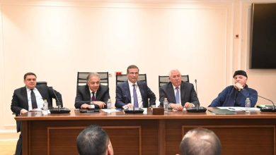 وزير الزراعة يستعرض استراتيجية الوزارة لتحقيق الأمن الغذائي أمام زراعة النواب