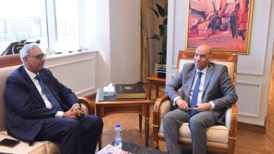 وزير العمل يلتقي وفد شركة TCI Sanmar للصناعات البتروكيماوية لبحث التوسع في التدريب ونقل الخبرات للشباب المصري