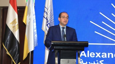 وزير المالية: «الرهان على القطاع الخاص» فى تحقيق النمو والتنمية وتعزيز تنافسية الاقتصاد المصرى «دايمًا كسبان»