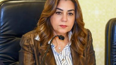 وزيرة التنمية المحلية والبيئة تعلن الانتهاء من أعمال الربط الإلكتروني لمنظومة الرصد الذاتي لعدد من مداخن شركة "إيلاب" بالإسكندرية