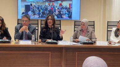 وزيرة الثقافة تستعرض أمام لجنة الإعلام والثقافة والآثار بمجلس النواب خطة تطوير العمل الثقافي