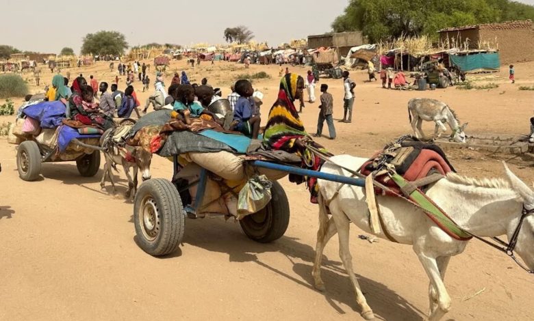 إيطاليا تعزز مساعداتها الإنسانية للسودان وسط تفاقم الأزمة