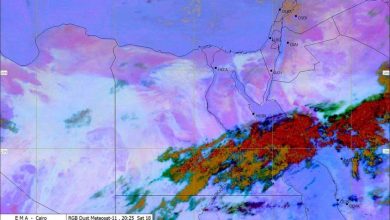 الأرصاد الجوية: استمرار فرص سقوط الأمطار على جنوب الصعيد وسلاسل جبال البحر الأحمر