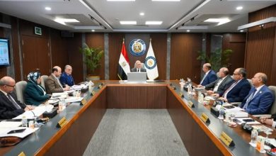 “صان مصر” تحقق 6.6 مليار جنيه تعاقدات بالدول العربية في 2025 بنمو 85%