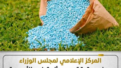 المركز الإعلامي لمجلس الوزراء يوضح حقيقة وجود أزمة في الأسمدة الزراعية للموسم الصيفي