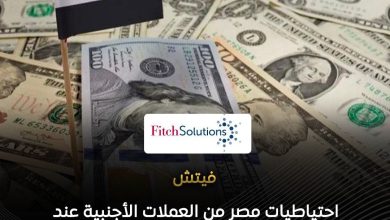 فيتش احتياطيات مصر من العملات الأجنبية عند مستويات قياسية