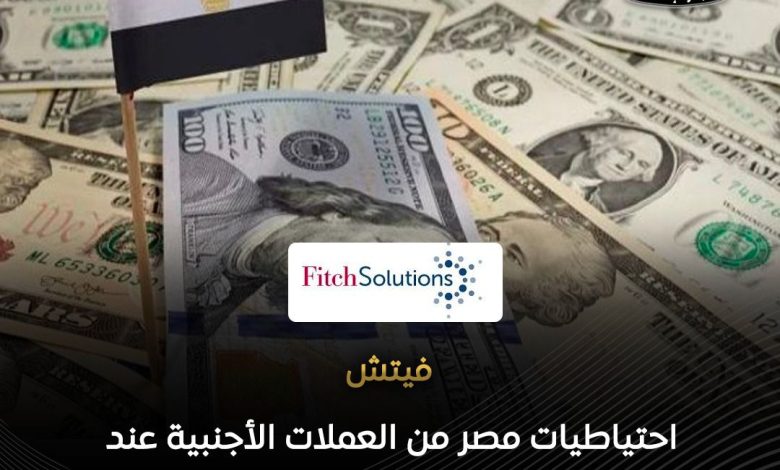 فيتش احتياطيات مصر من العملات الأجنبية عند مستويات قياسية