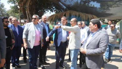 ︎وزير الزراعة يتفقد معرض الزهور بالدقي ويقرر مده لنهاية مايو مع إعفاء العارضين من الرسوم