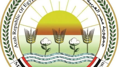 "الزراعة" تُعلن الجاهزية القصوى لعيد الأضحى: الإشراف على الذبح المجاني بـ 497 مجزر