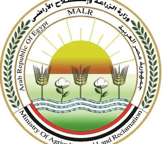 "الزراعة" تُعلن الجاهزية القصوى لعيد الأضحى: الإشراف على الذبح المجاني بـ 497 مجزر