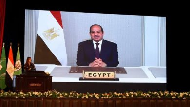 وزارتا "الخارجية" و"التعليم العالي" تنظمان احتفالية “يوم أفريقيا” بمقر جامعة القاهرة